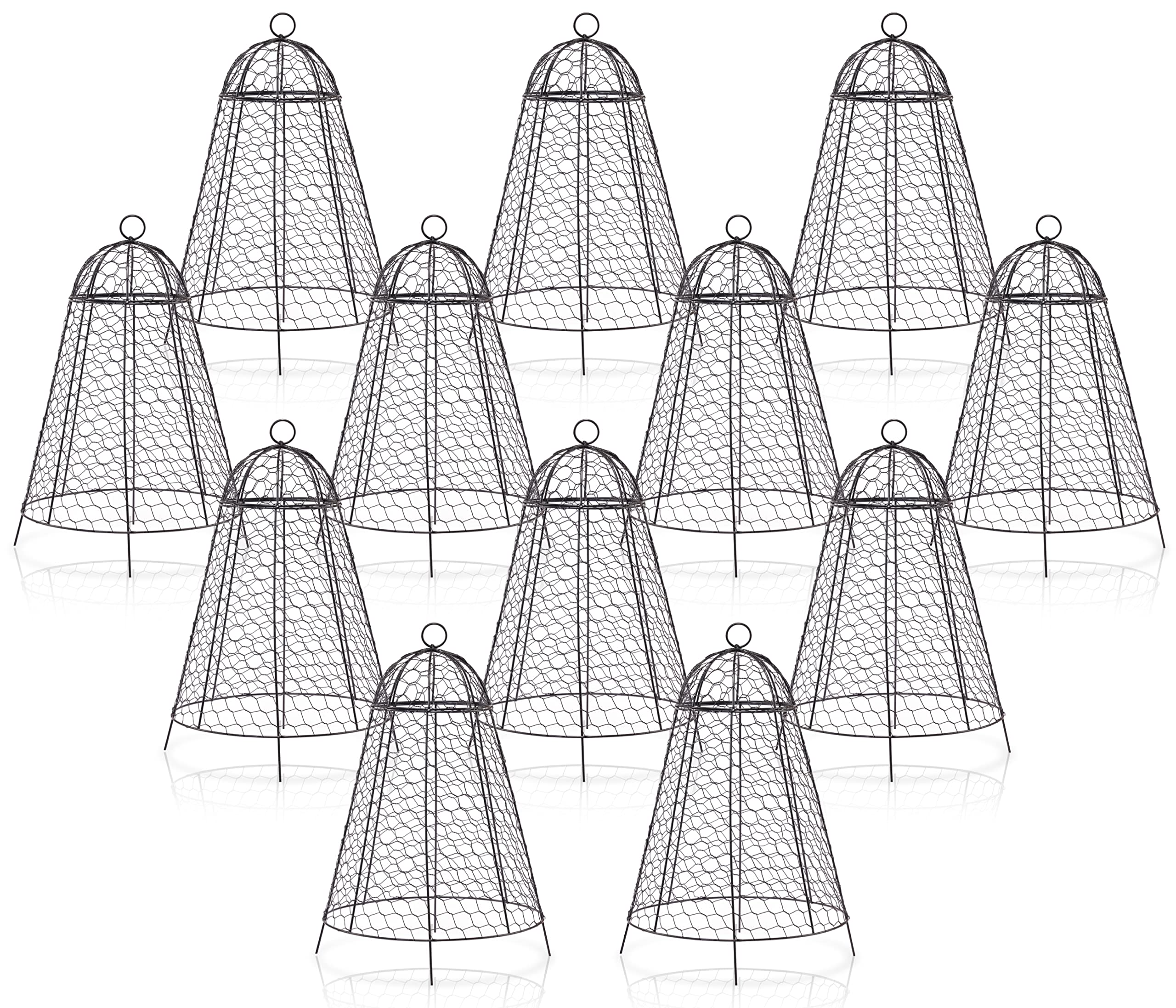 Boldworks garden cloche shields plants with a sturdy 12x20 inch design