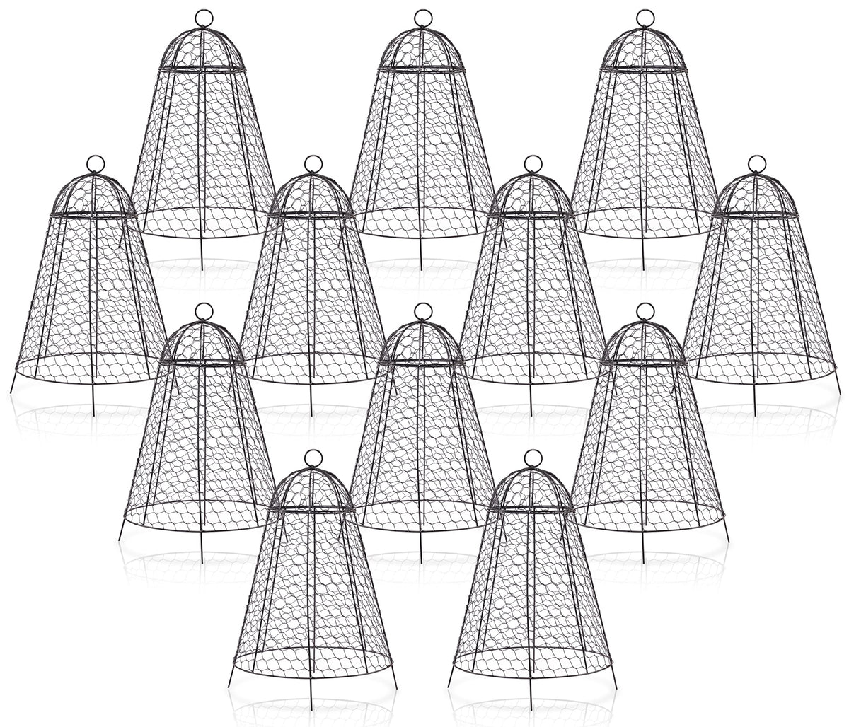 Boldworks garden cloche shields plants with a sturdy 12x20 inch design