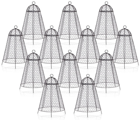 Boldworks garden cloche shields plants with a sturdy 12x20 inch design