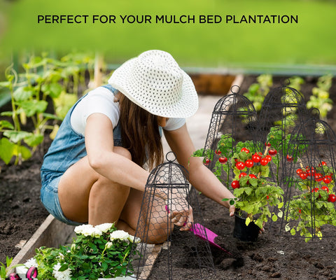 Boldworks pack of 12 garden cloches provides comprehensive coverage