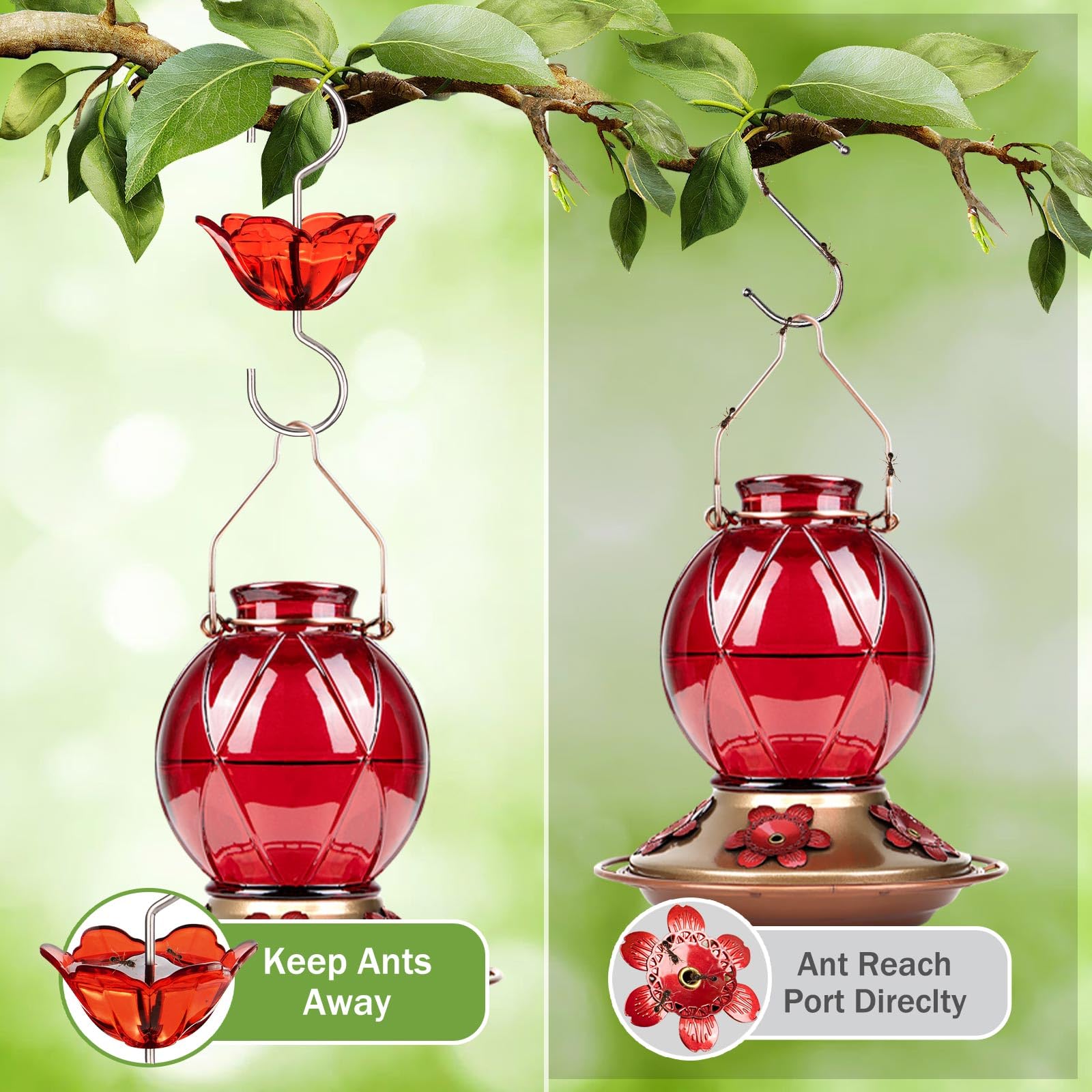BOLITE ant moat clips securely for easy feeder installation.