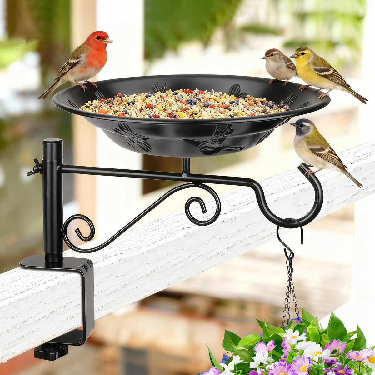 BOLITE balcony bird feeder on a railing inviting birds to feed and bathe.