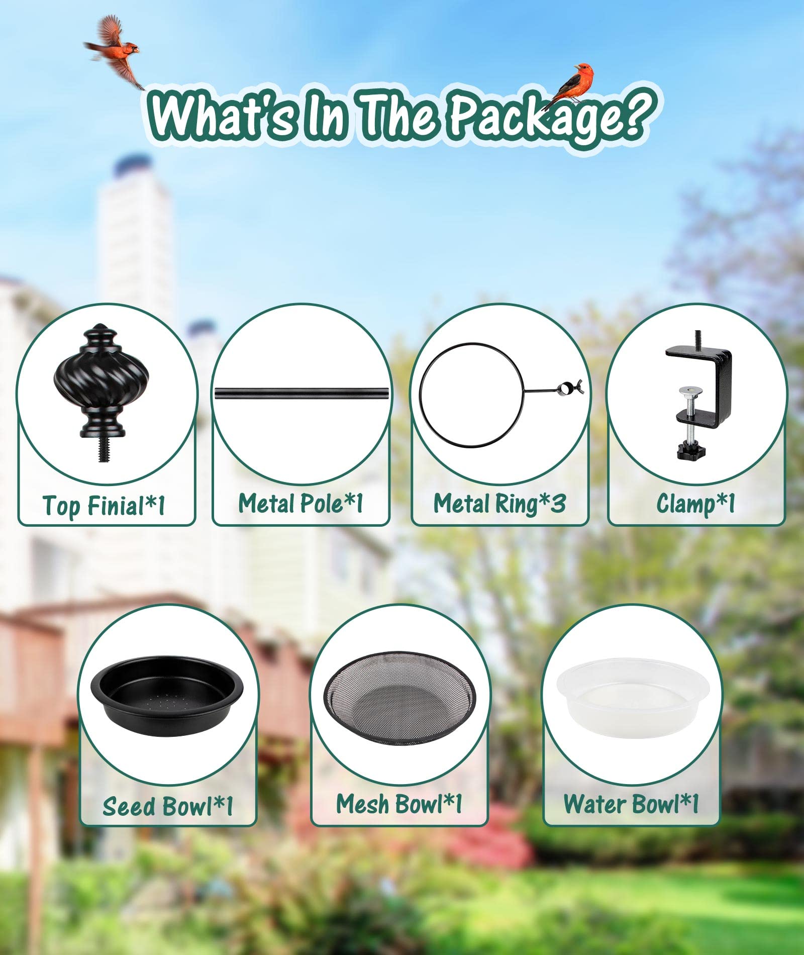 BOLITE gift-ready bird feeder design ideal for bird lovers and gardeners.