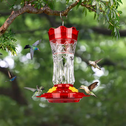 BOLITE feeder with four bee guard ports and perches invites hummingbird visits