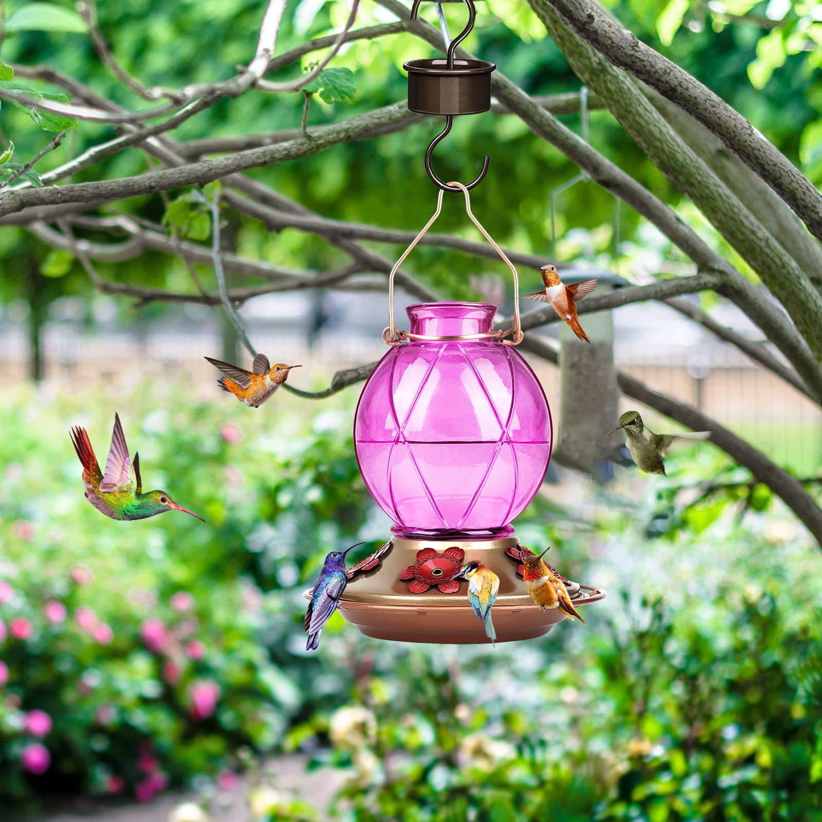 Bolite feeder 20-ounce capacity reduces refills for extended backyard birdwatching.