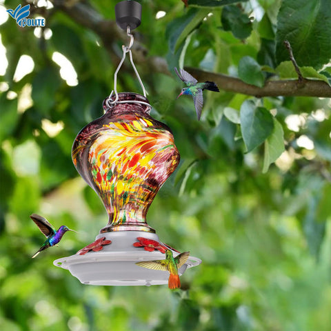 BOLITE feeder with ant moat keeps nectar clean for longer hummingbird visits.
