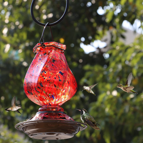 BOLITE red glass feeder with ant moat helps keep nectar accessible.