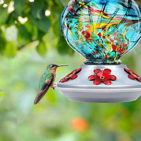 BOLITE ant moat helps keep nectar clean during outdoor use