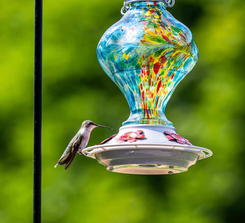 Five feeding ports provide easy access for hummingbirds to sip nectar