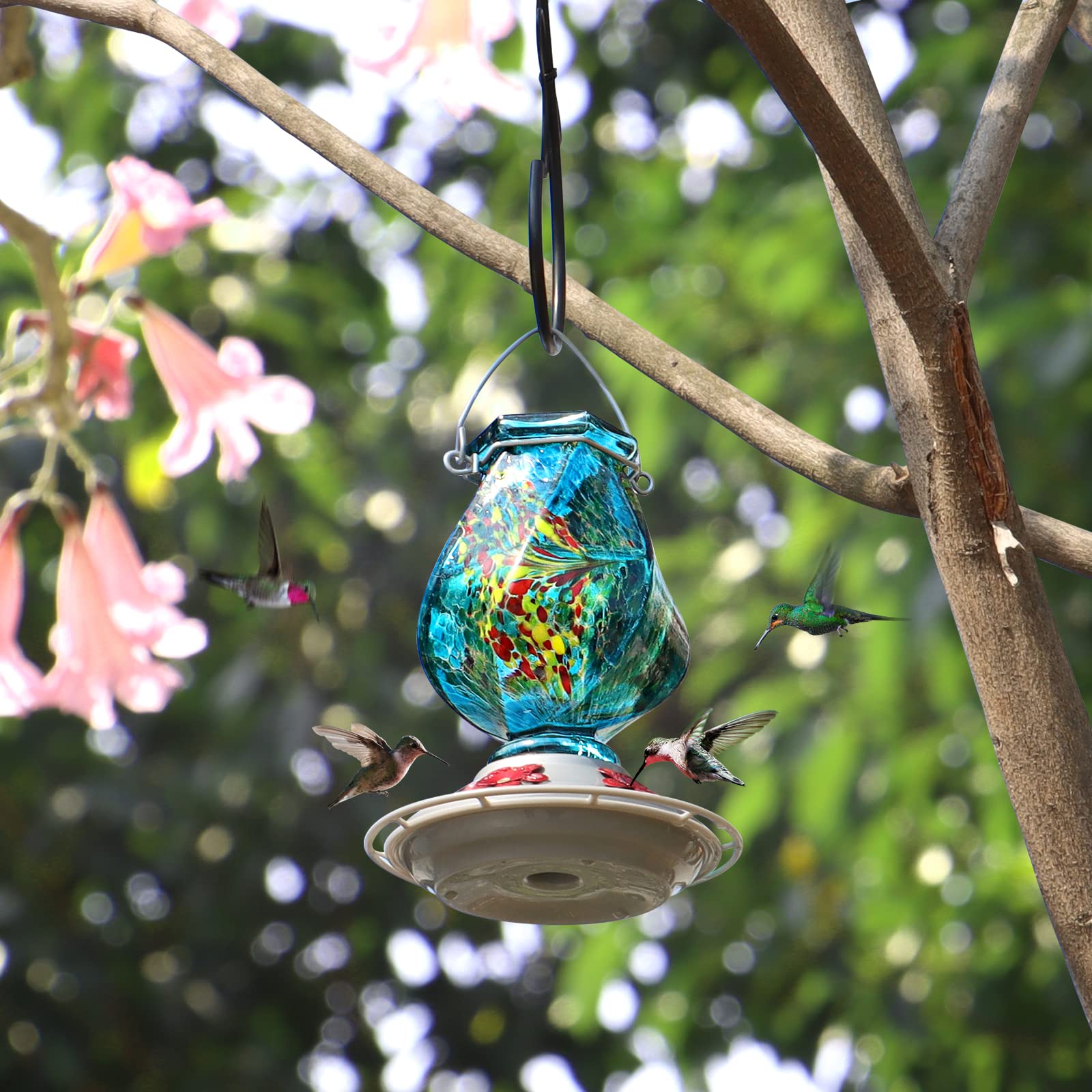 BOLITE five port glass feeder inviting multiple hummingbirds to feed together