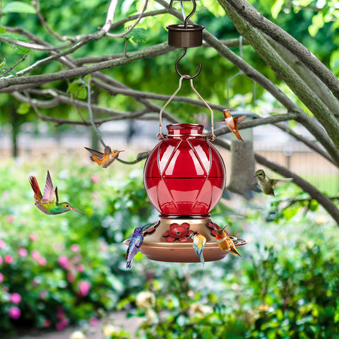 BOLITE glass hummingbird feeder, 20-ounce capacity for steady nectar supply.