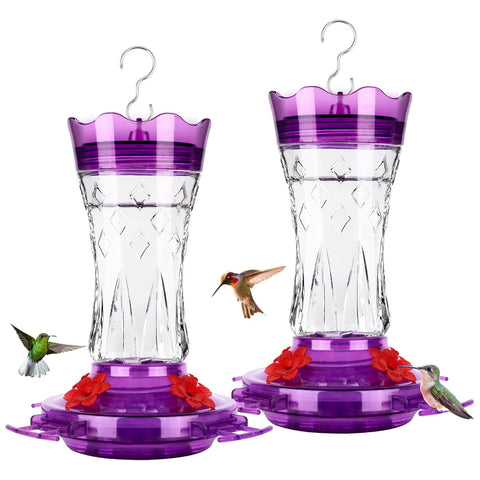 BOLITE hummingbird feeder with glass bottle and star design attracts garden birds