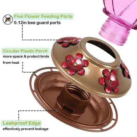 Bolite glass bottle design offers easy visibility of nectar level.