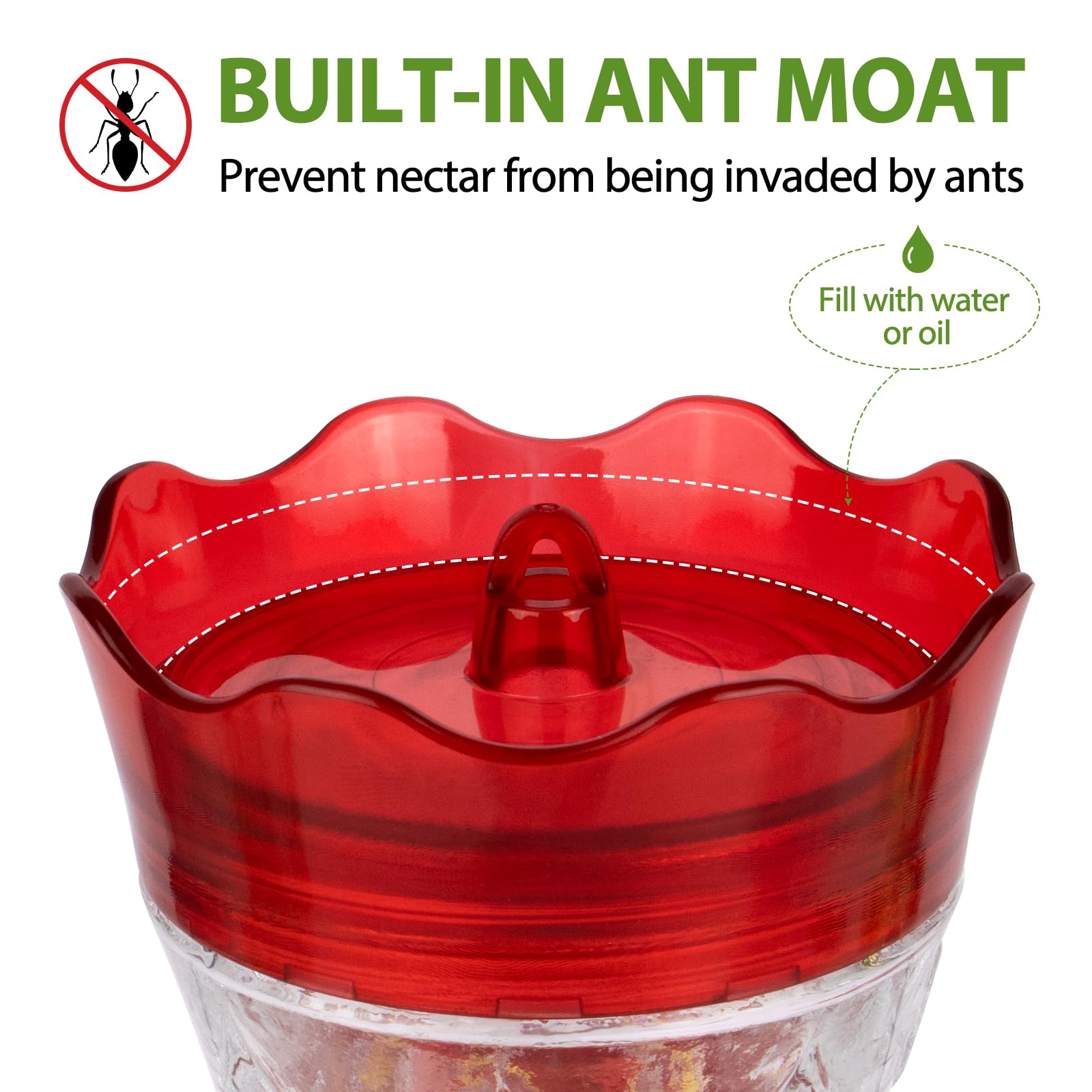 Bolite glass bottle clarity aids easy nectar monitoring