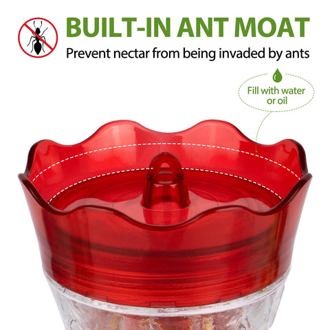 Bolite glass bottle clarity aids easy nectar monitoring