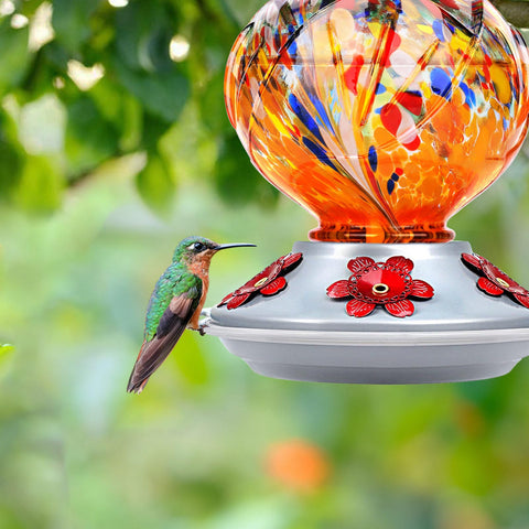 BOLITE hand-blown glass feeder looks durable and premium outdoors