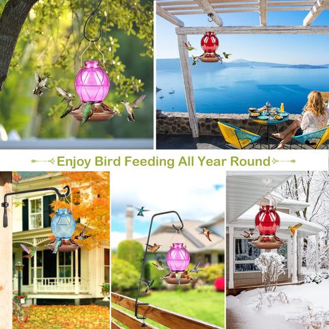 Bolite durable outdoor feeder ideal for garden birds and sunny patios.