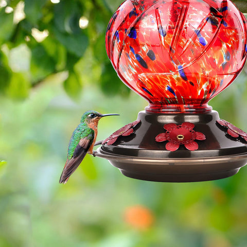 Bolite feeder with red color enhances garden visibility and attraction