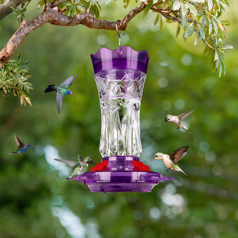BOLITE leak-proof base minimizes spills while birds feed.