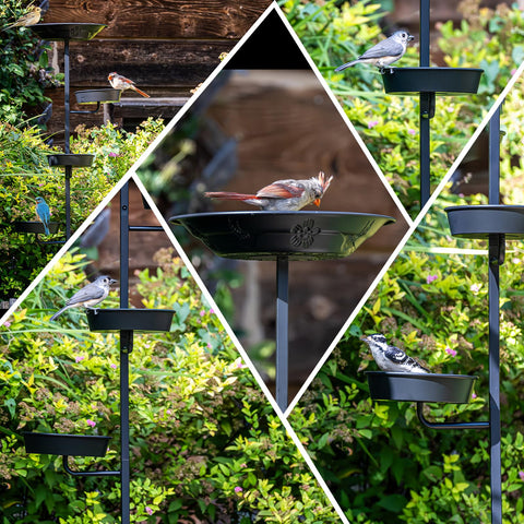 Rust-resistant black coating protects the finish in all seasons.