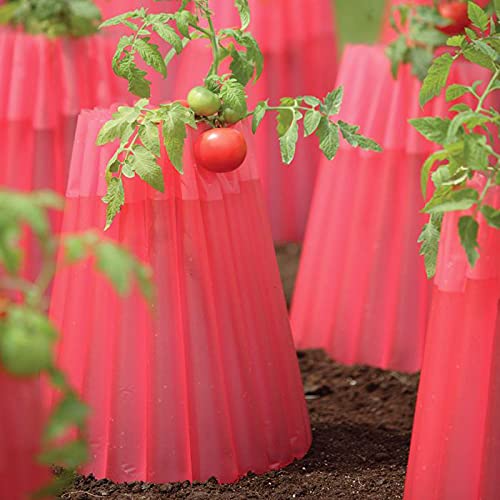Bonadea Kozy Coats shield cucumber seedlings from sun and wind.