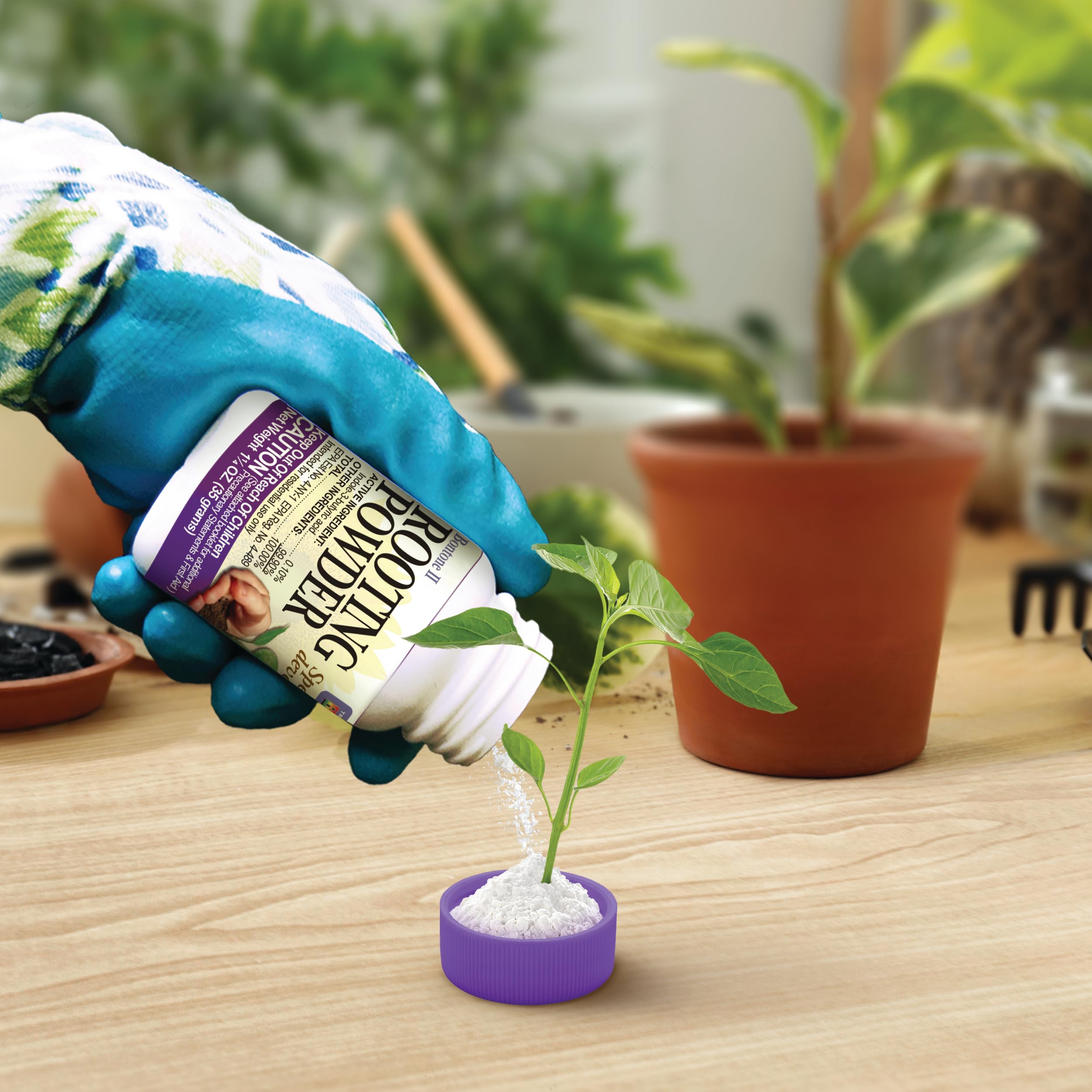 Ornamental plant benefiting from Bonide Bontone II powder