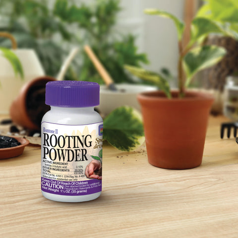 Transplanting with Bonide Bontone II aiding root growth