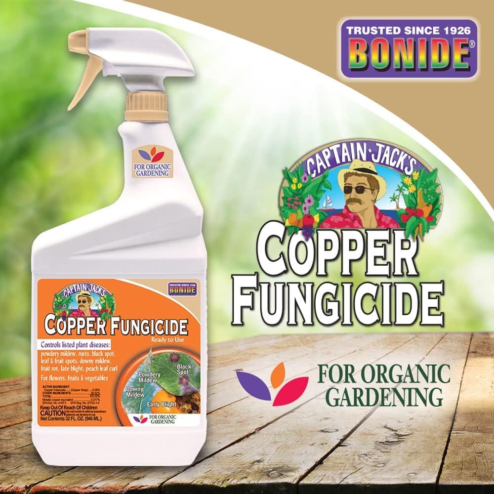 Copper fungicide on tomato plants to prevent common diseases