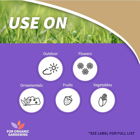 Trigger spray bottle of Captain Jack's Copper Fungicide for easy garden applications