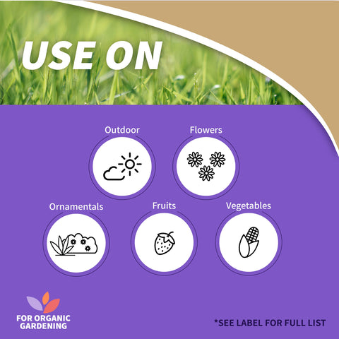 Captain Jack's Copper Fungicide spray bottle with a trigger nozzle for easy application.