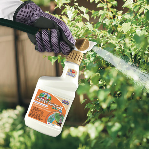 Hands holding 16 oz bottle with twist and spray cap.