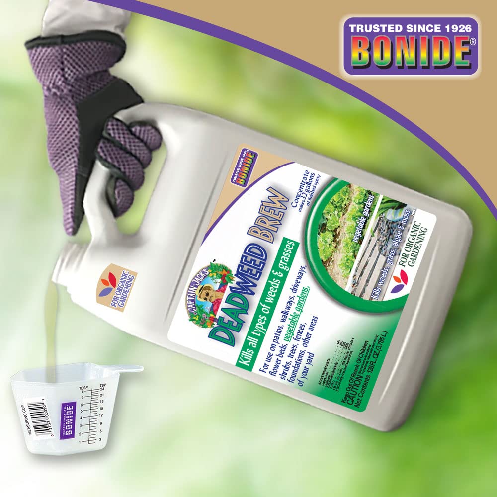 Applying Deadweed Brew along a driveway border for weed control.