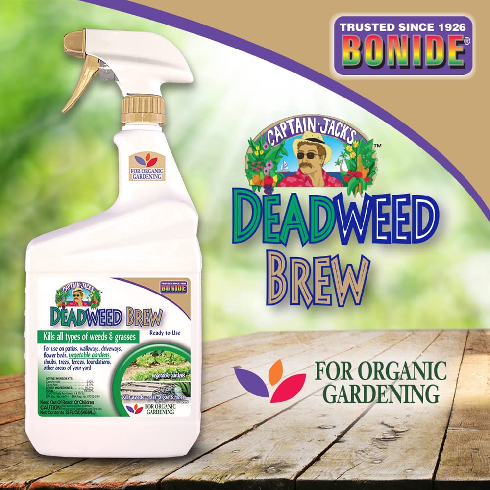 Garden application of Captain Jack's Deadweed Brew in beds and borders.