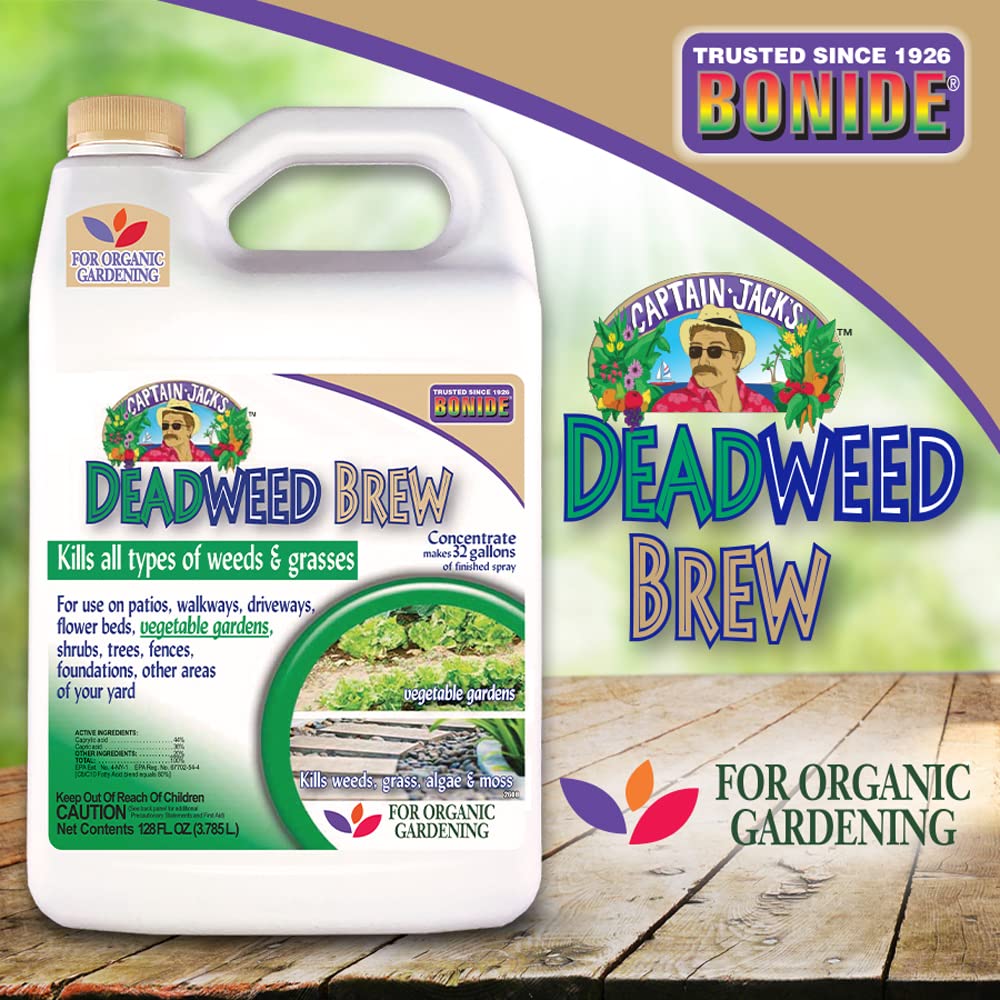 Garden bed showing rapid weed disappearance after treatment with Captain Jack's Brew.
