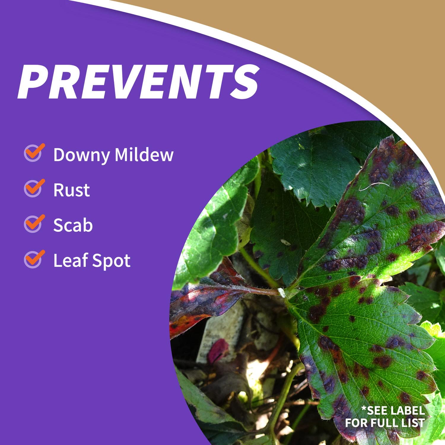 Bonide Captain Jack's Fruit Tree Spray dosage directions for proper dilution