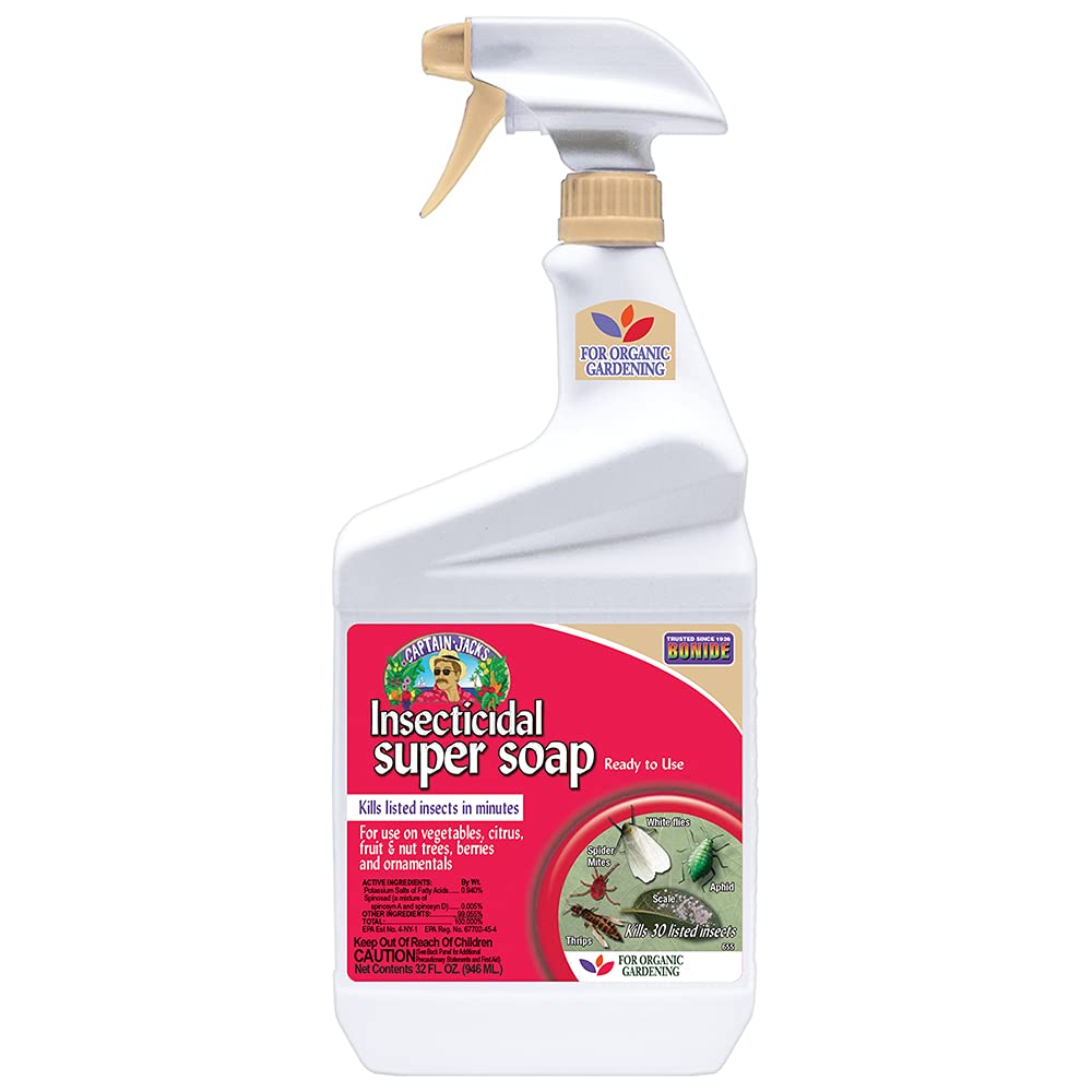 Bonide Captain Jack's insecticidal soap bottle ready for organic pest control on outdoor plants