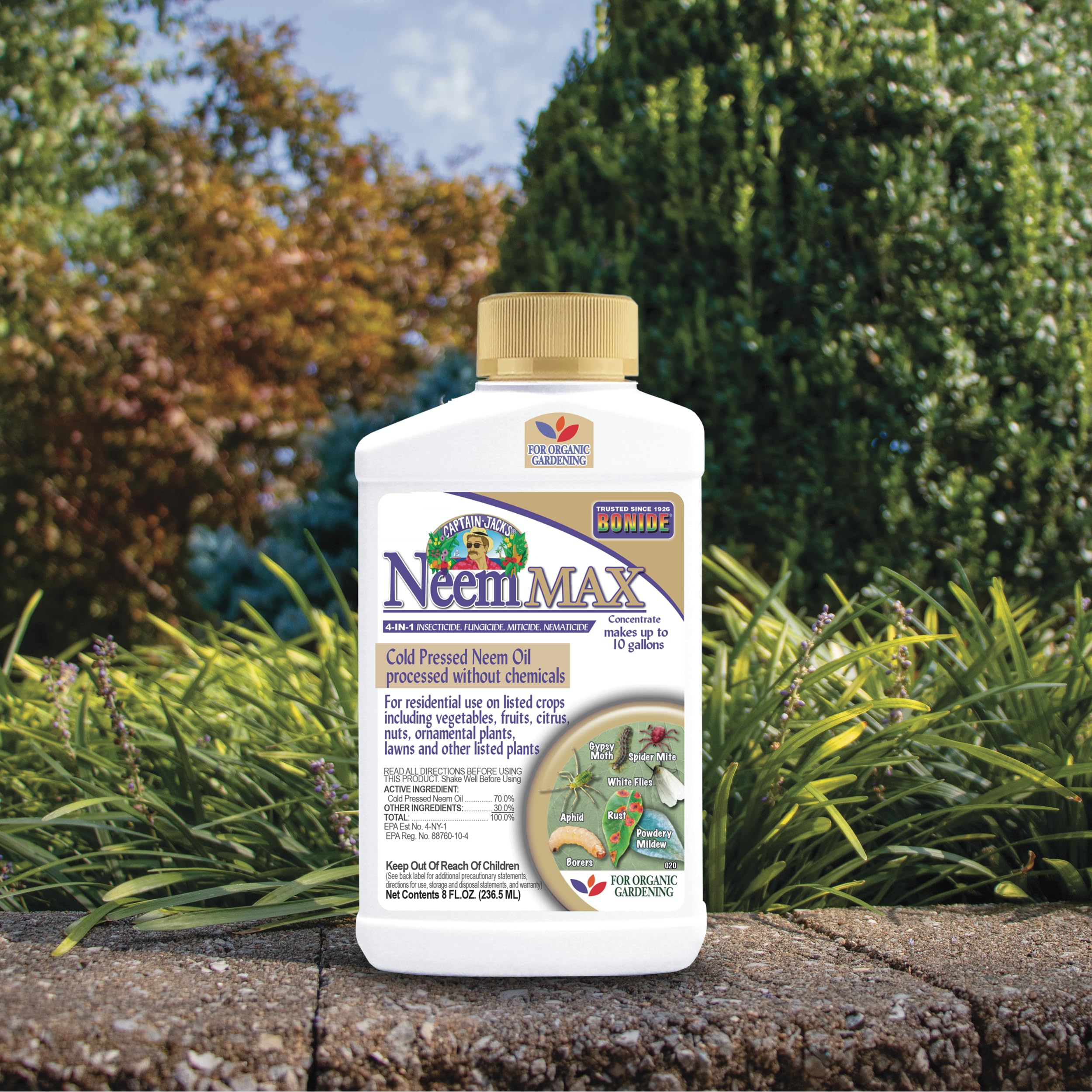 Aphids and mites on leaves treated with Neem Max for insect control