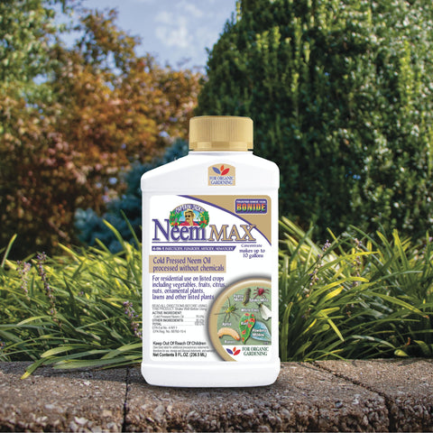 Aphids and mites on leaves treated with Neem Max for insect control