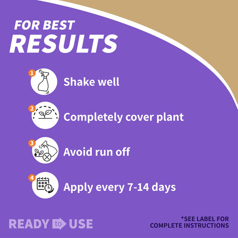 Bonide Captain Jack's Neem Max indoors on houseplants for pest control