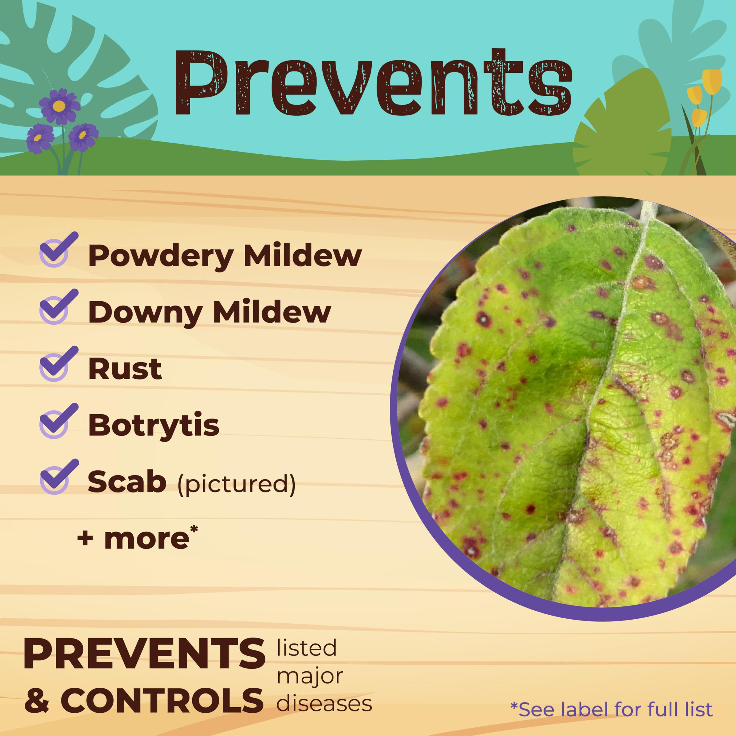 Neem Max suitable for indoor and outdoor plants, including hydroponics.