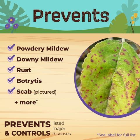 Neem Max suitable for indoor and outdoor plants, including hydroponics.