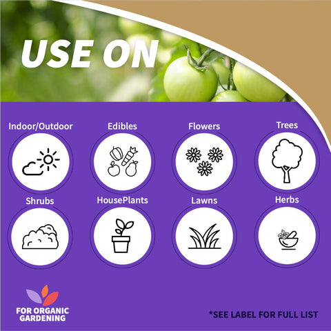Bonide Captain Jack's Neem Max on a leaf demonstrating foliar pest protection