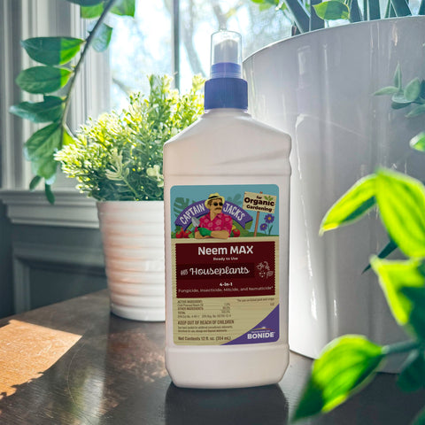 Captain Jack's Neem Max on leaves provides broad-spectrum pest and disease control