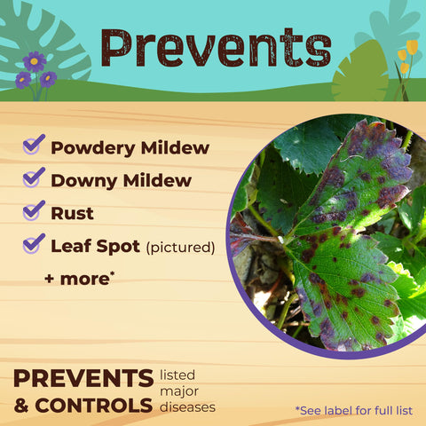 Neem Max in an organic garden setting supporting plant protection