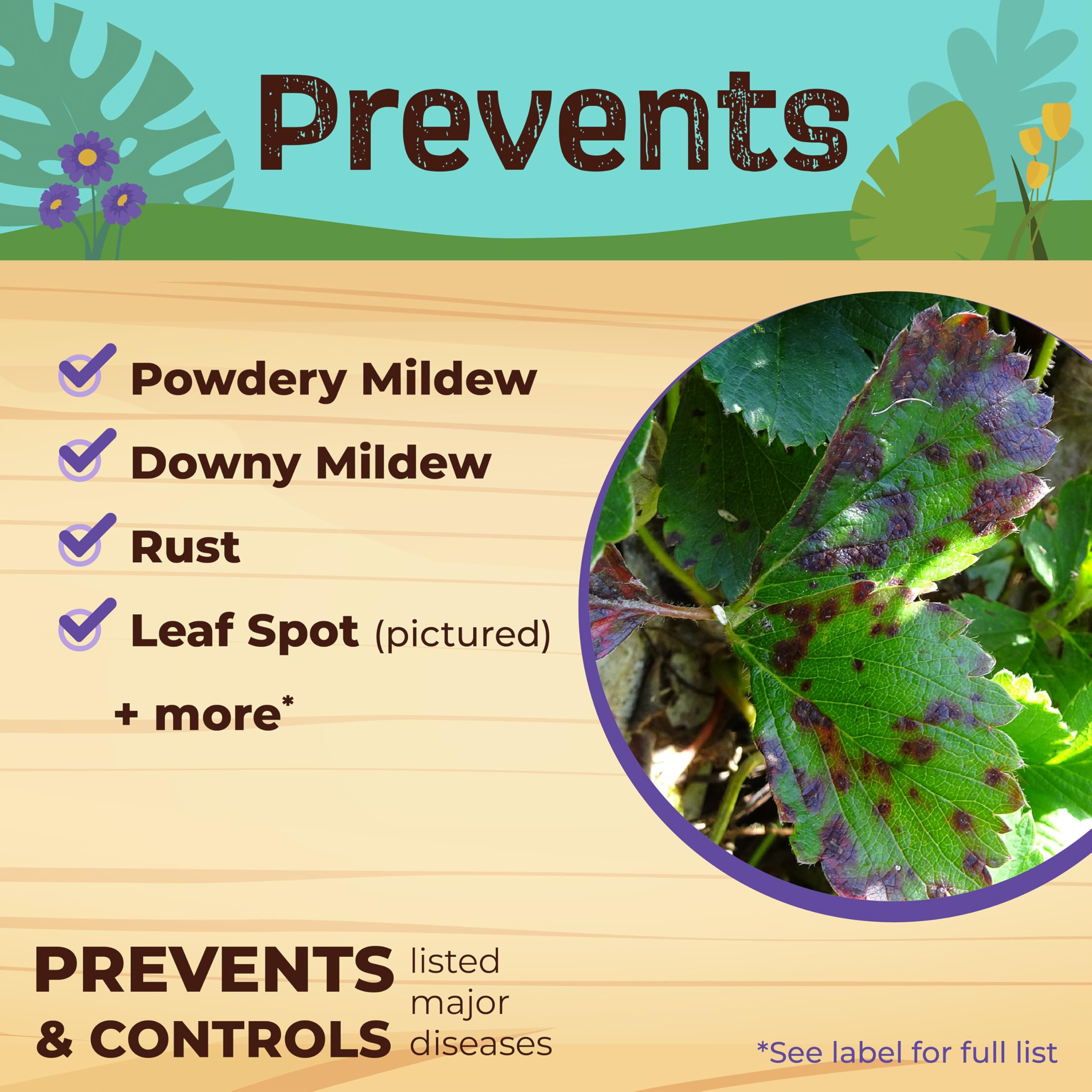 Neem Max supports organic gardening on houseplants and ornamentals