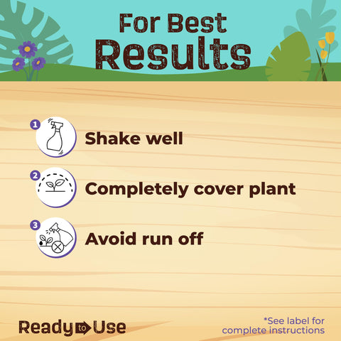 Houseplant care scene with Neem Max protecting leaves from common insects