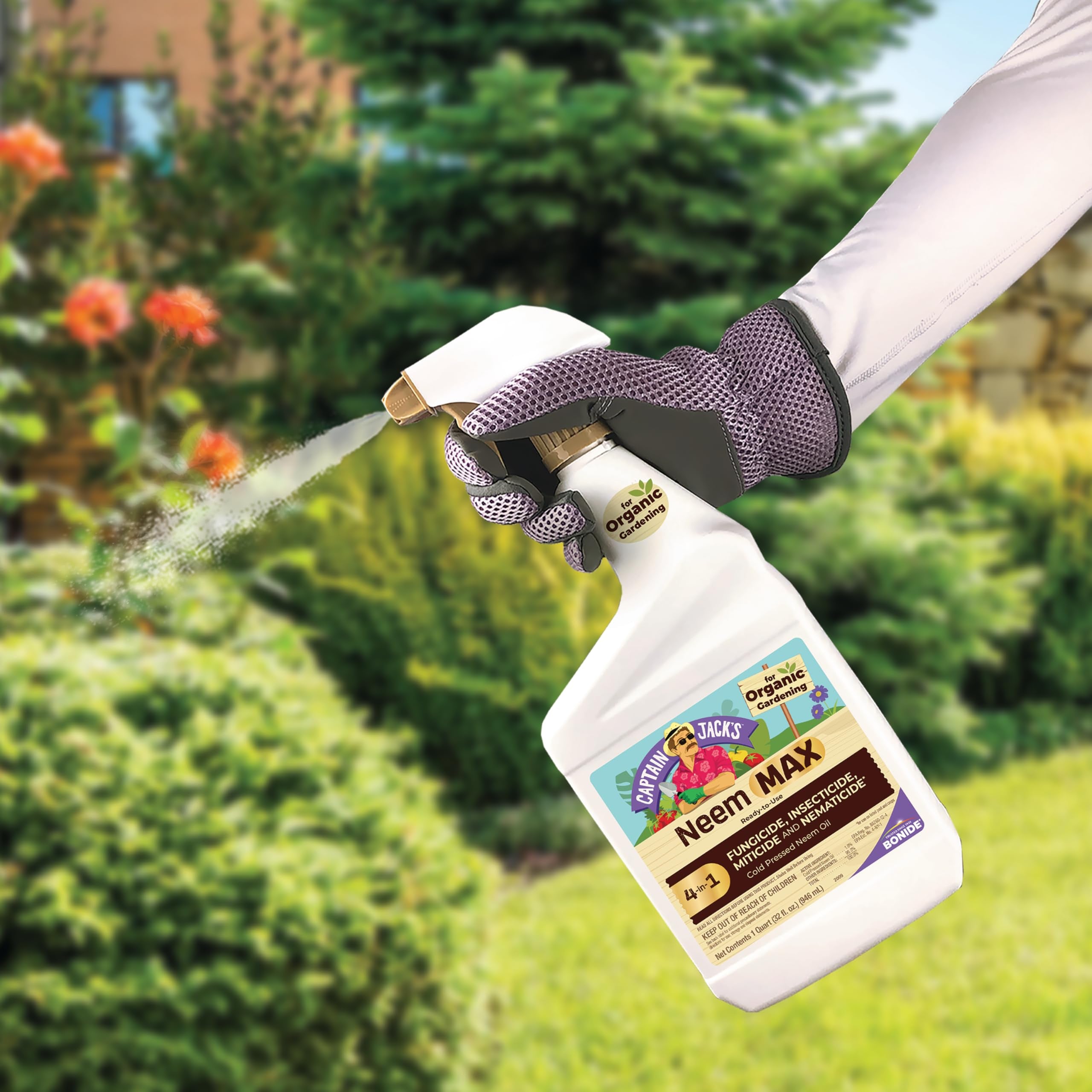 Neem Max applied to roses to deter pests and protect leaves.