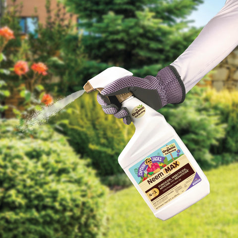 Neem Max applied to roses to deter pests and protect leaves.