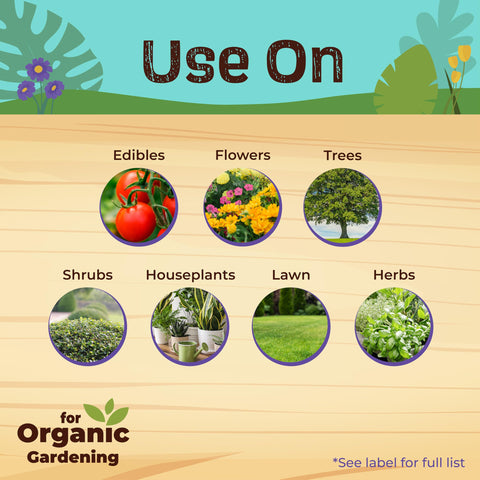 Neem Max applied on roses to help manage pests while protecting blooms