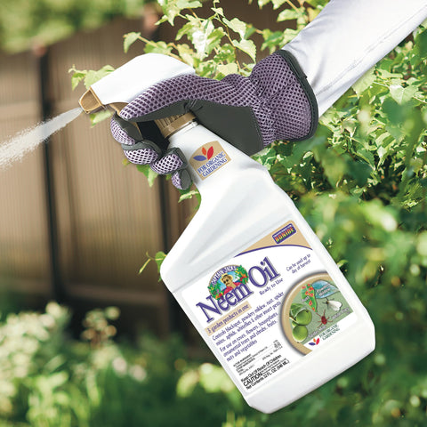 Bonide Captain Jack's Neem Oil ready-to-use spray nozzle in action for quick pest relief.